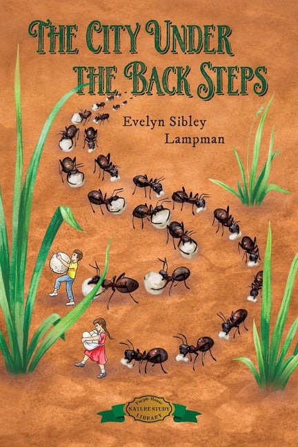 Book cover for City Under the Back Steps