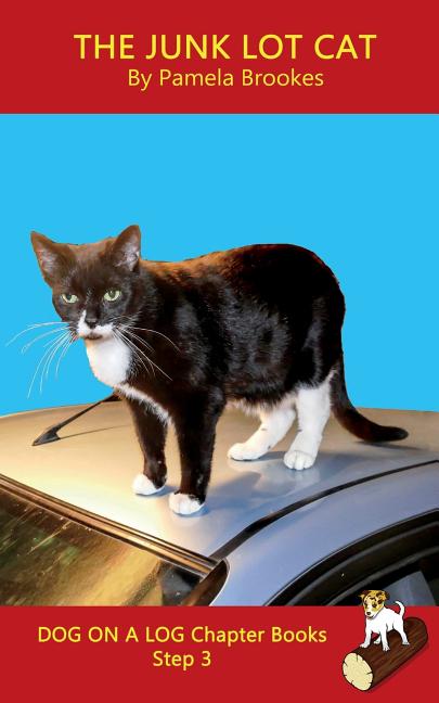 Book cover for Junk Lot Cat Chapter Book: Sound-Out Phonics Books Help Developing Readers, including Students with Dyslexia, Learn to Read (Step 3 in a Systemat