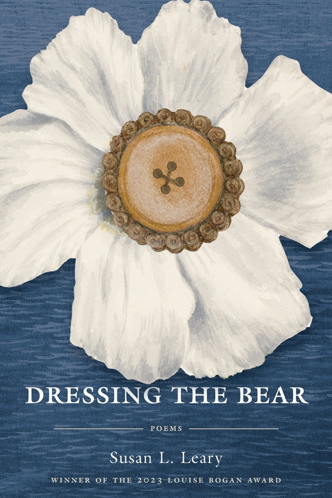 Book cover for Dressing the Bear