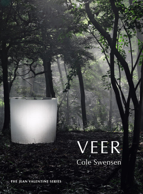 Book cover for Veer