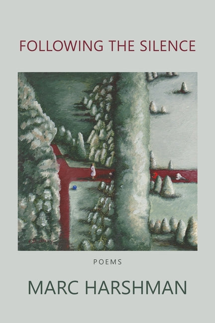 Book cover for Following the Silence