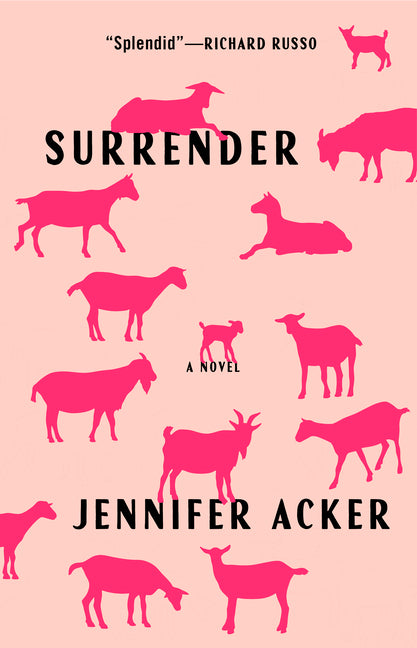Book cover for Surrender