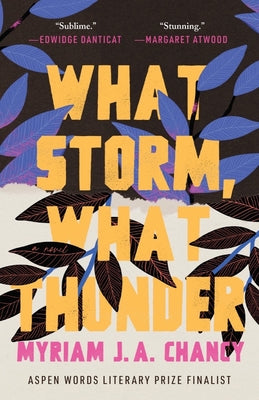 Book cover for What Storm, What Thunder