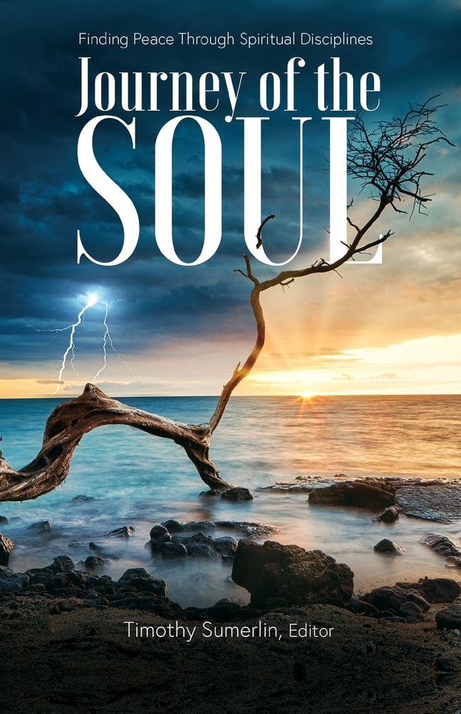 Book cover for The Soul Journey