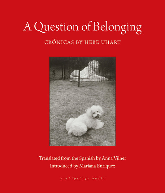 Book cover for A Question of Belonging: Crónicas