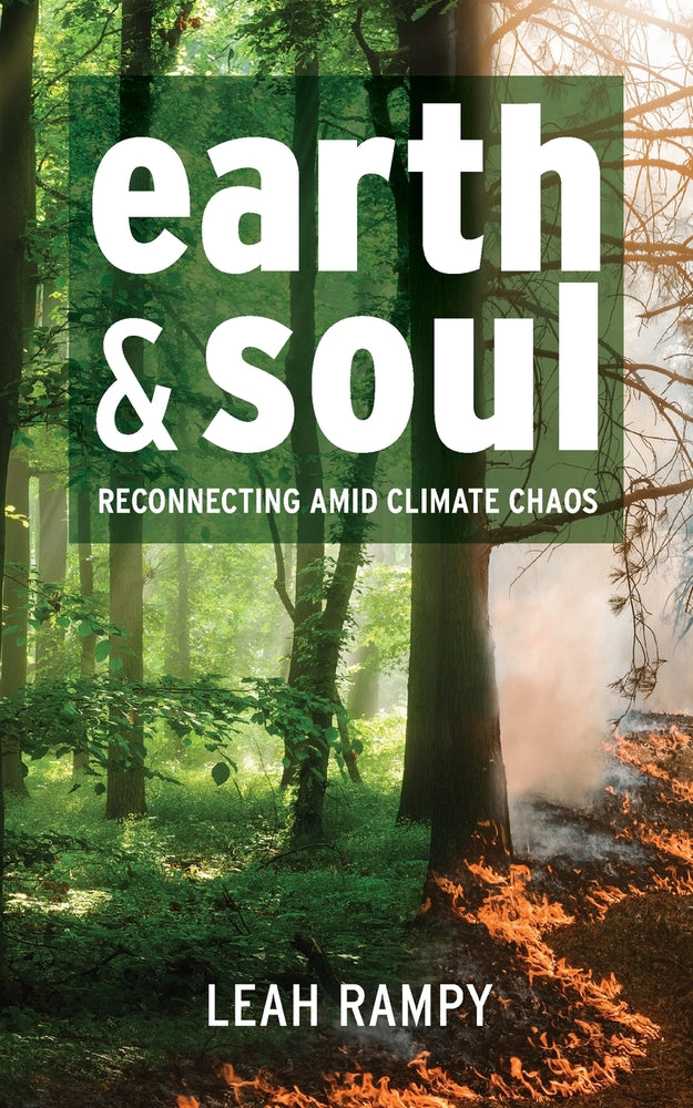 Book cover for Earth and Soul: Reconnecting Amid Climate Chaos