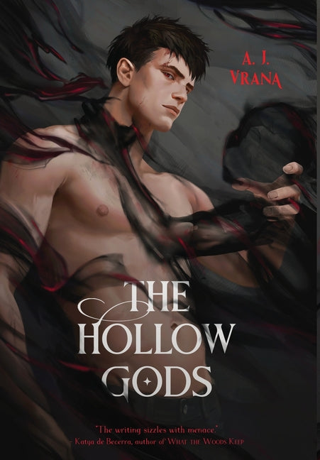 Book cover for The Hollow Gods