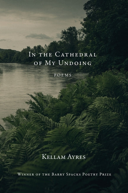 Book cover for In the Cathedral of My Undoing