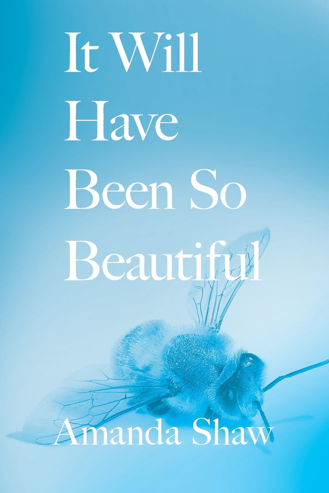 Book cover for It Will Have Been So Beautiful