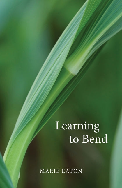 Book cover for Learning to Bend