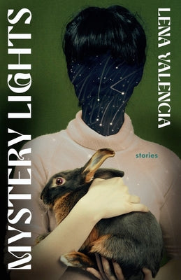 Book cover for Mystery Lights