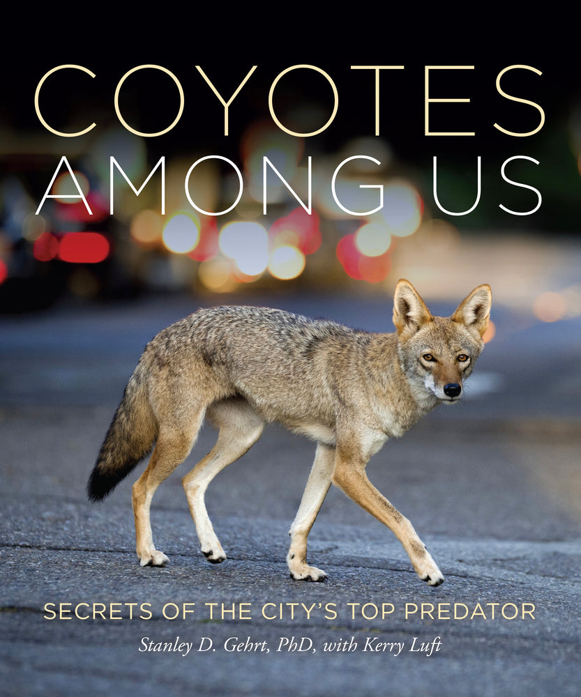 Book cover for Coyotes Among Us: Secrets of the City's Top Predator
