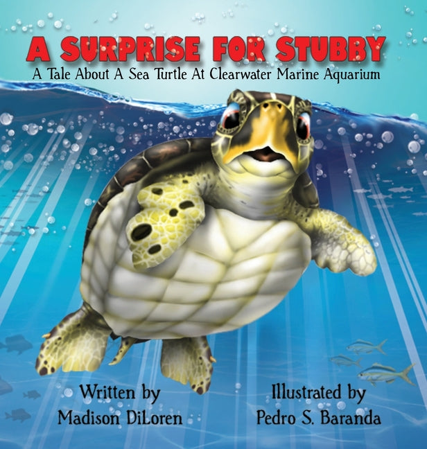 Book cover for Surprise for Stubby