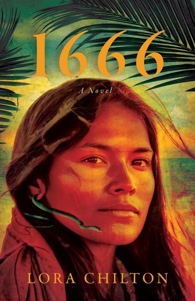 Book cover for 1666