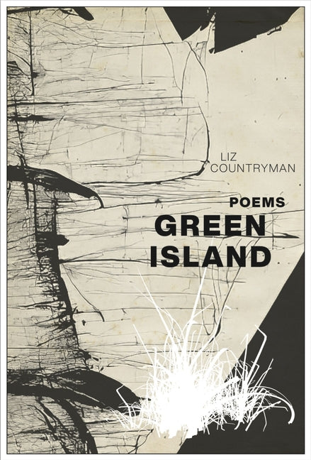 Book cover for Green Island