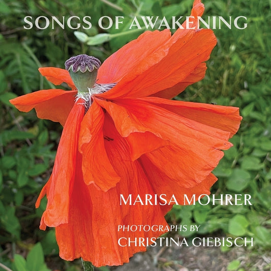 Book cover for Songs of Awakening