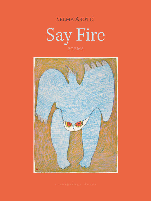 Book cover for Say Fire