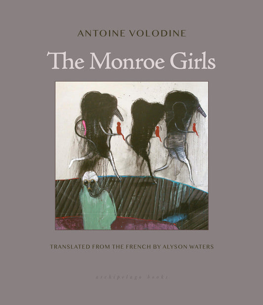 Book cover for Monroe Girls