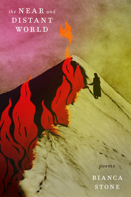 Book cover for Near and Distant World: Poems
