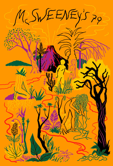 Book cover for McSweeney's Issue 79 (McSweeney's Quarterly Concern)