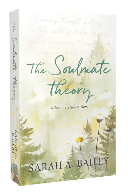Book cover for Soulmate Theory
