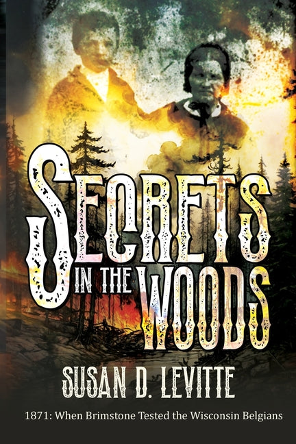 Book cover for Secrets in the Woods