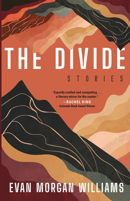 Book cover for Divide