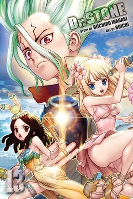Book cover for Dr. Stone, Vol. 13