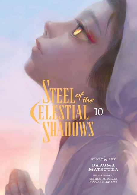 Book cover for Steel of the Celestial Shadows, Vol. 10