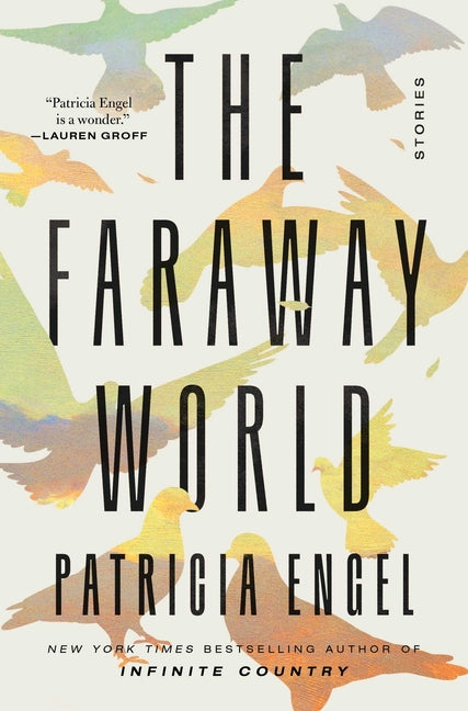 Book cover for The Faraway World: Stories