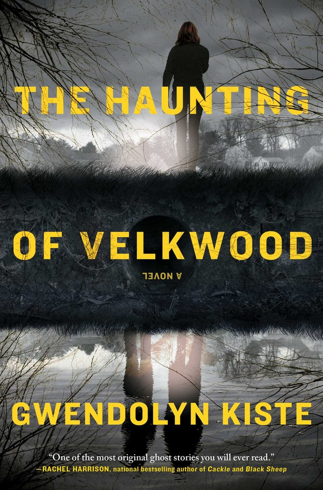 Book cover for The Haunting of Velkwood
