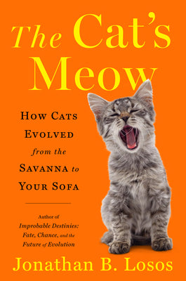 Book cover for The Cat's Meow: How Cats Evolved from the Savanna to Your Sofa