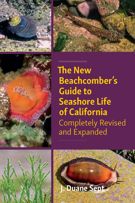 Book cover for New Beachcomber's Guide to Seashore Life of California: Completely Revised and Expanded