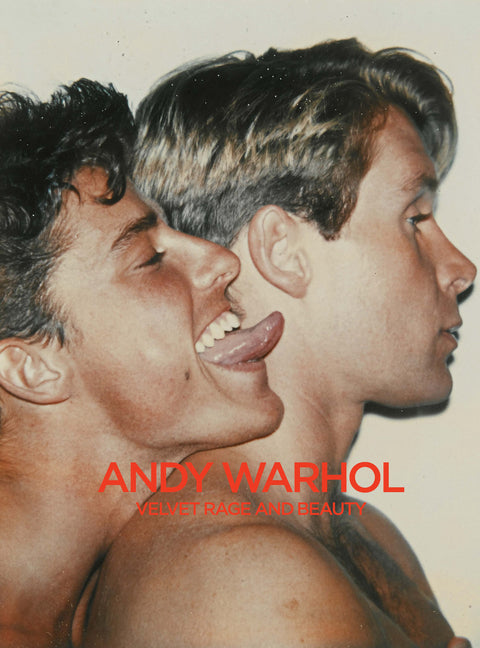 Book cover for Andy Warhol: Velvet Rage and Beauty