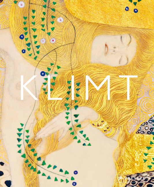 Book cover for Klimt: The Bigger Picture