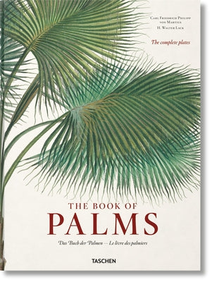 Book cover for Martius. the Book of Palms