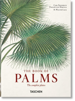 Book cover for Martius. the Book of Palms. 40th Ed.