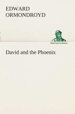 Book cover for David and the Phoenix