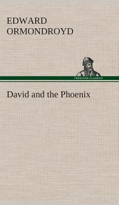 Book cover for David and the Phoenix