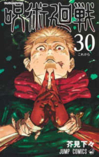 Book cover for Jujutsu Kaisen 30