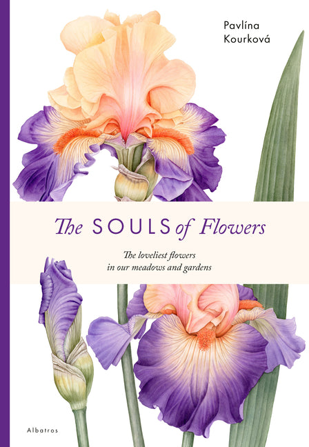 Book cover for Souls of Flowers