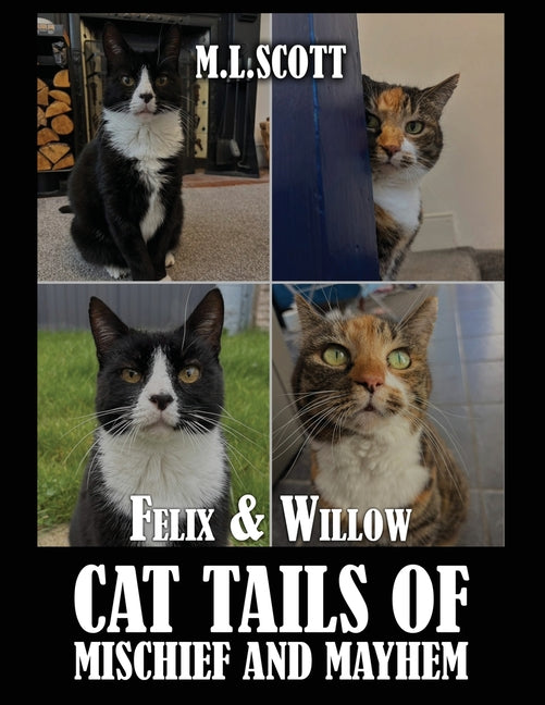 Book cover for Felix & Willow cat tails of mischief and mayhem