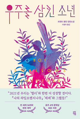 Book cover for Boy Swallows Universe
