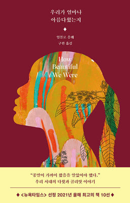 Book cover for How Beautiful We Were