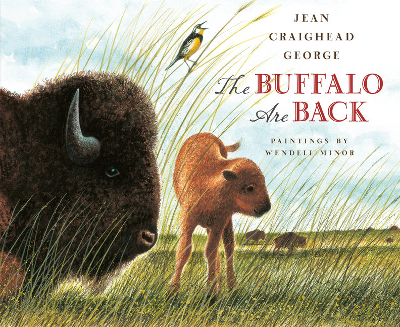 Book cover for Buffalo Are Back