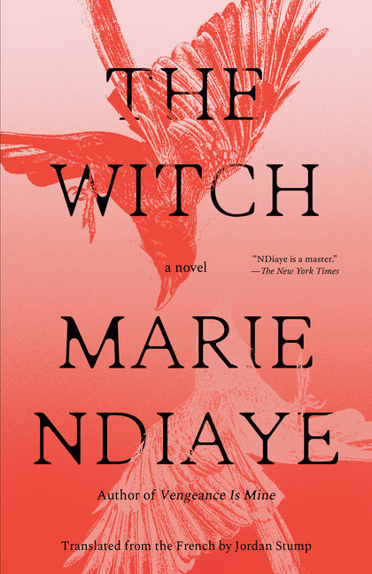 Book cover for Witch
