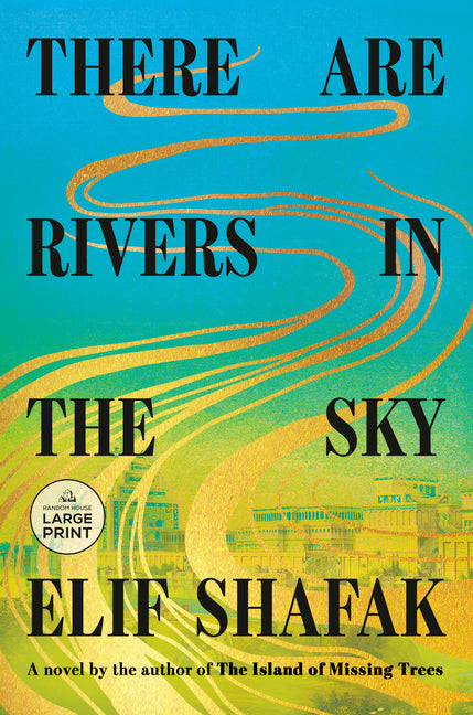 Book cover for There Are Rivers in the Sky