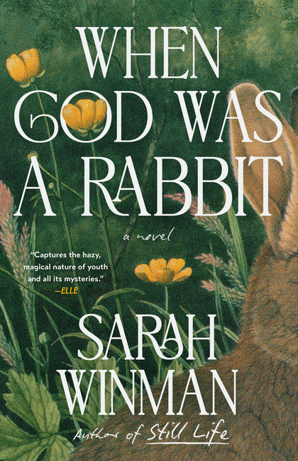 Book cover for When God Was a Rabbit