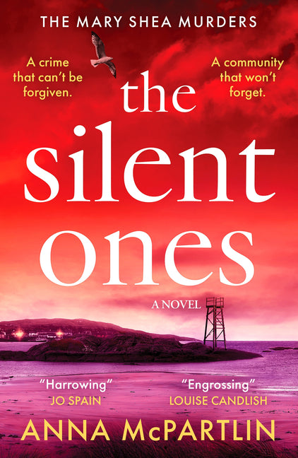 Book cover for Silent Ones: An Unmissable Irish Crime Thriller from an International Bestseller