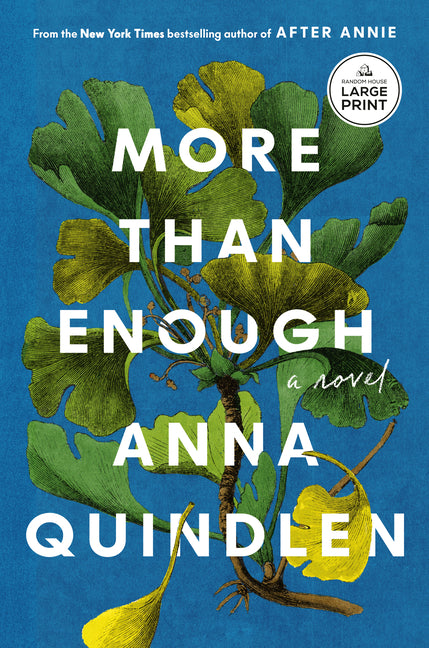 Book cover for More Than Enough